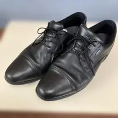 Mizuno ミズノビジネスシューズ/27cm/ゴアテックス 本革 ⑤