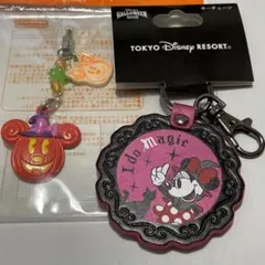 ディズニーリゾートミニーちゃん2点セット③オマケ付き