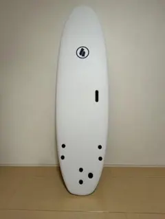beach access ファンボード 6'0 サーフボード