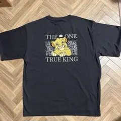 Item thumbnail for item 3ebabc21-1059-4130-8ad4-876e3f480824