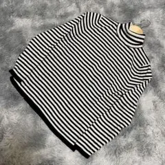 Switch Motion ストライプ タートルネック ニット 長袖 秋冬