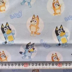 BLUEY ブルーイ ビンゴ ＵＳＡコットン生地 送料込み 新品