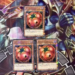 遊戯王　キラートマト　DT ノーパラ 3枚　c