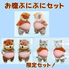 【6匹セット】お腹ぷにぷにシール 立体 犬 猫 かわいい シール帳 ごほうび