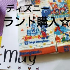ディズニーランド購入　ウォッシュタオル&フェイスタオルセット