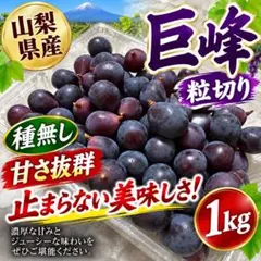 わけあり加工用 長野県産 種なし巨峰 粒1.5kg - メルカリ