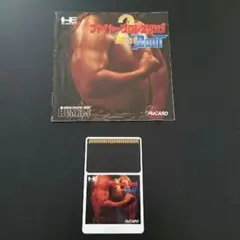 ファイヤープロレスリング2pc