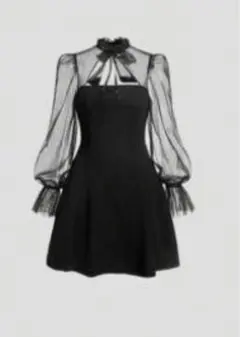 シースルー長袖ブラックドレス