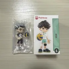 ハイキュー!! PalVerse 木兎光太郎