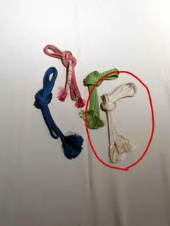 ベージュ帯締め 房付き