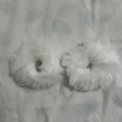 Item thumbnail for item 080669ba-d879-4da2-979e-b46723694cb2