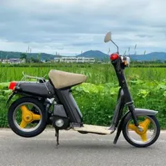 SEASTYLE製/パッソル/パッソル2/パッソーラ/ファストチャンバー/新品/ Yahoo!オークション - SEASTYLE製/YAMAHA/パッソル/パッソル2