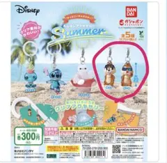 ディズニーキャラクター めじるしアクセサリー　チップ　デール 2個セット