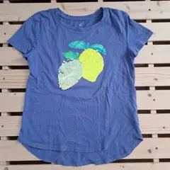 Item thumbnail for item 74f6cfaa-5062-4375-b101-5595fca1f0bc