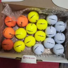 キャスコ DNA ロストボール 18球