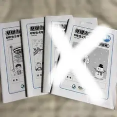 【超レア】グノーブル内部生用　5年理科基礎力テスト11冊フルセット 2026年最新】グノーブル 基礎力テストの人気アイテム - メルカリ