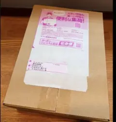 Item thumbnail for item 44e549ba-4fec-4f91-ba8d-cb6c1ecf7839