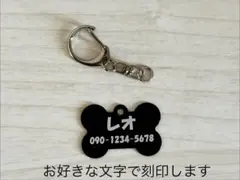 Item thumbnail for item 3d2832ae-af4c-478b-ac7d-9461bb39e40a