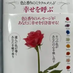 お試しセッション体験　カラーセラピー