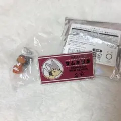 宮治 2点セット