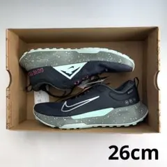 26cm ナイキ ジュニパートレイル2 ゴアテックス 
