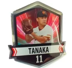 【額付き】2009 GIANTS G-Po PINS COLLECTION 額付き】2009 GIANTS G-Po PINS COLLECTION 【公式通販】