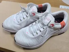 Item thumbnail for item 52df2dde-c9bf-475b-95ac-0dbd52c6d379