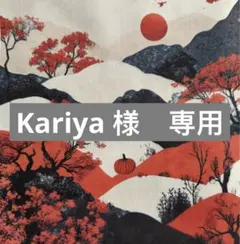 Kariya様　専用