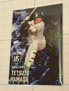 プロ野球チップスカード スターカード まとめファイルセット プロ野球チップスカード スターカード まとめファイルセット