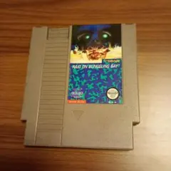 nes RAID ON BUNGELING BAY