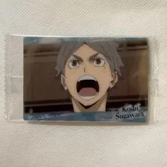 ハイキュー!! 菅原孝支 ウエハース　カード