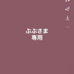 ブラックシルバー2