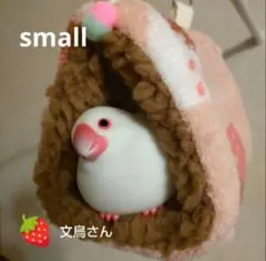 Item thumbnail for item fdfe3dc1-0d80-4a61-87dd-5bd44c550bb4