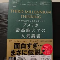 THIRD MILLENNIUM THINKING