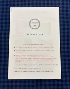 ☆ サイドギャザーブラウス　mionパターン