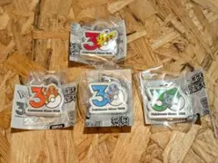 ポケモン 30周年 メタルチャーム ピカチュウ 御三家