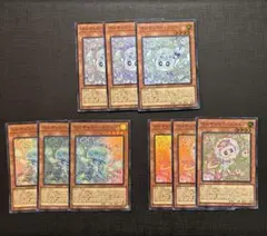 マルチャミーニャルス　マルチャミーフワロス　マルチャミープルリア　各3枚　①