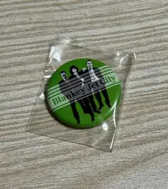 ブランキージェットシティ LPレコード特典 缶バッジ 新品未使用品 2025年最新】Yahoo!オークション -blankey jet cityの中古品