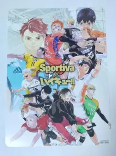 2025年最新】SPORTIVA ハイキュー ビジュアルボードの人気