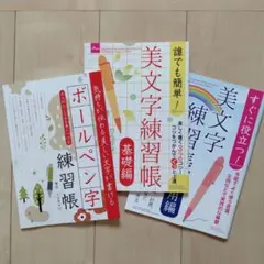 ボールペン字 ペン習字 美文字 美しい文字 美文字練習帳 3冊セット