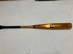 Item thumbnail for item 82a8c919-df63-420c-9e9f-4145c2271bc6