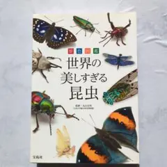 世界の美しすぎる昆虫