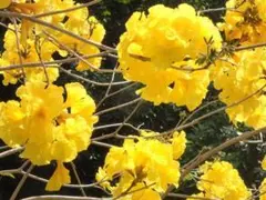 Ginko様 リクエスト 4点 まとめ商品