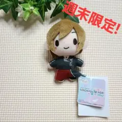 ★週末限定価格！★プロセカ　カラフルステージ　ふわぷち　マスコット MEIKO