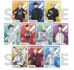 ハイキュー クリアカード コレクション 10周年記念展 描き下ろし 10枚セット