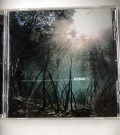 ACIDMAN / CDまとめ売り (赤燈,酸化空ほか14点セット) ACIDMAN / CDまとめ売り (赤燈,酸化空ほか14点セット)
