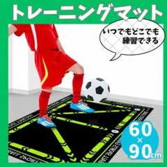 サッカー フットサル トレーニング マット 室内 ドリブル 自主練