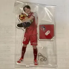 ファジアーノ岡山 応援グッズ