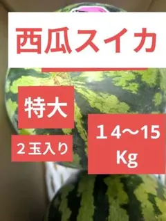 日田西瓜　特大　２玉入り 甘くて美味し　15〜16 Kg 日田西瓜 秀品2玉入り 1 2〜1 3 Kg - メルカリ