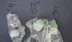 きのこ だいこん ねぎ 3種セット　野菜のめじるし